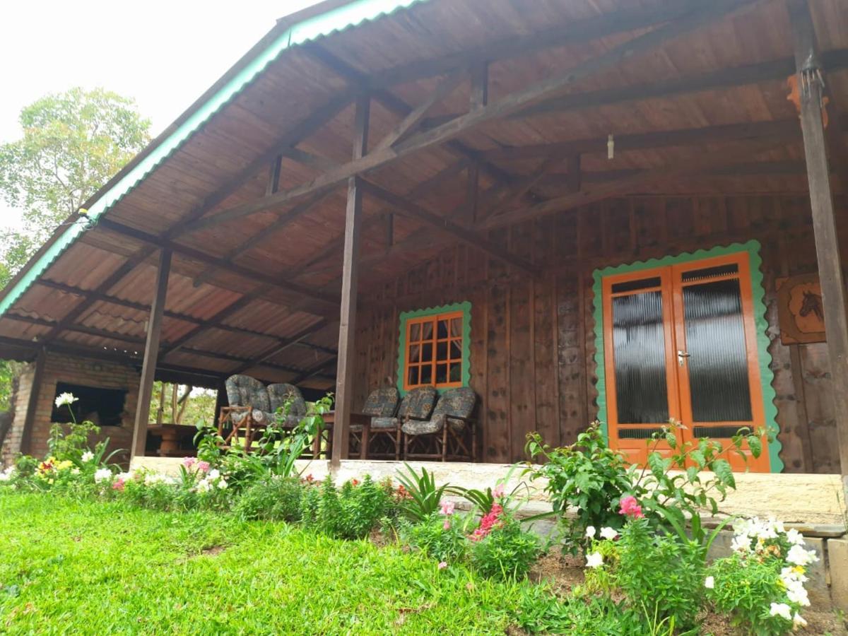 Sitio Recanto Da Guarda - Cabana Araucaria Bom Retiro  Exterior foto